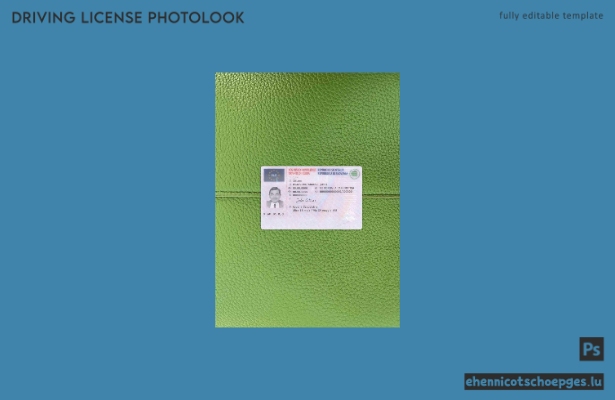 Beispielvorschau für das Foto des slowenischen Führerscheins